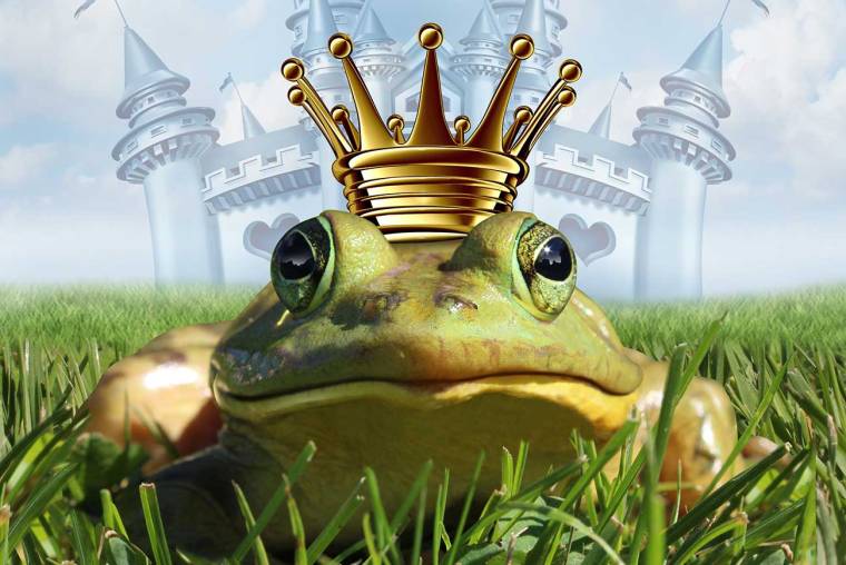 Frog_Prince_sfw